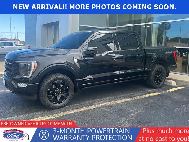 2022 Ford F-150 Platinum for sale in Bourbonnais, IL