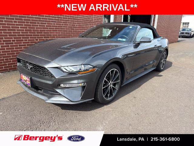 2019 Ford Mustang EcoBoost Premium for sale in Lansdale, PA