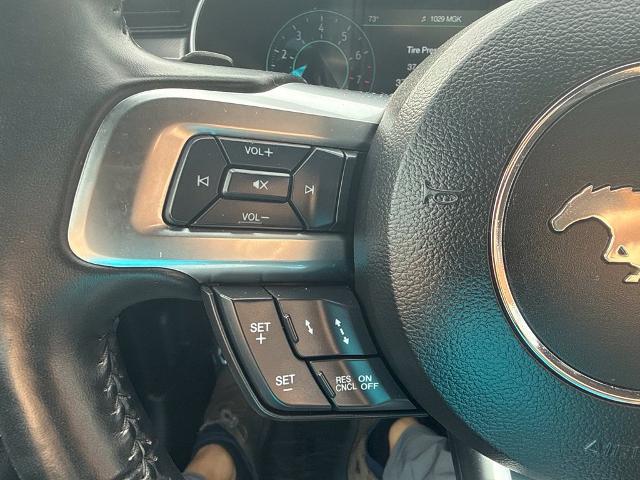 2019 Ford Mustang EcoBoost Premium