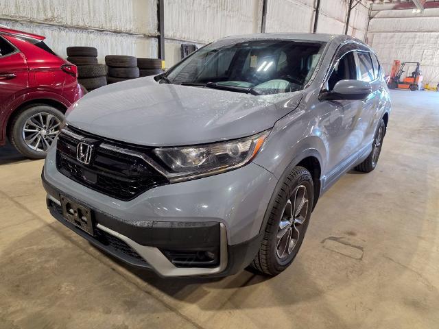 2020 Honda CR-V AWD EX-L for sale near Chillicothe, OH