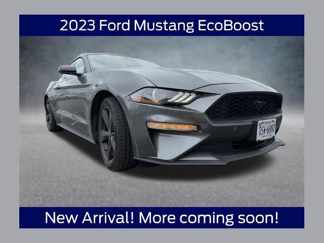 2023 Ford Mustang EcoBoost Fastback for sale in Mount Airy, NC