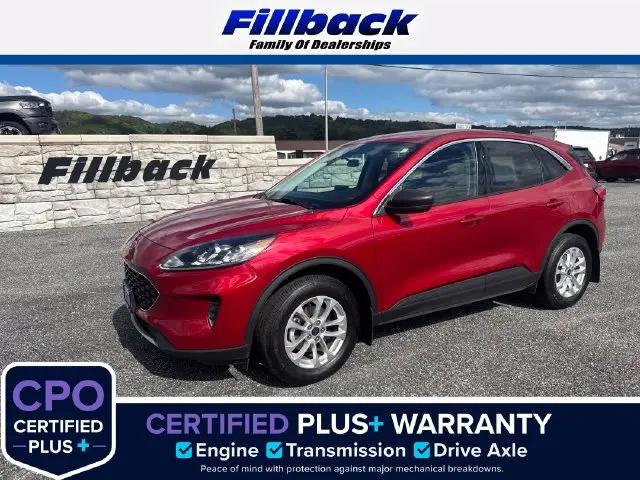 2022 Ford Escape SE for sale in Prairie du Chien, WI
