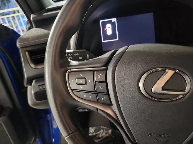 2025 Lexus 300 UX 300h