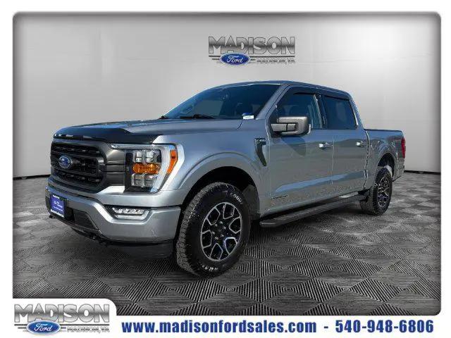 2023 Ford F-150 XLT for sale in Madison, VA