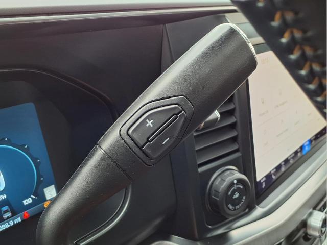 2024 Ford F-350 Platinum