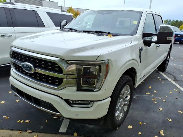 2022 Ford F-150 Platinum for sale in Dundee, MI