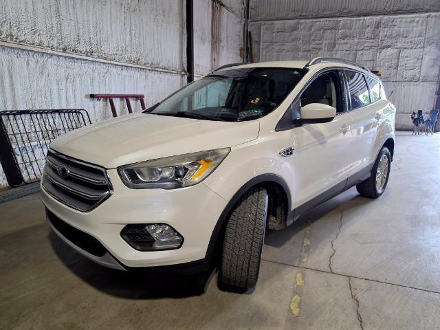 2017 Ford Escape for sale near Chillicothe, OH