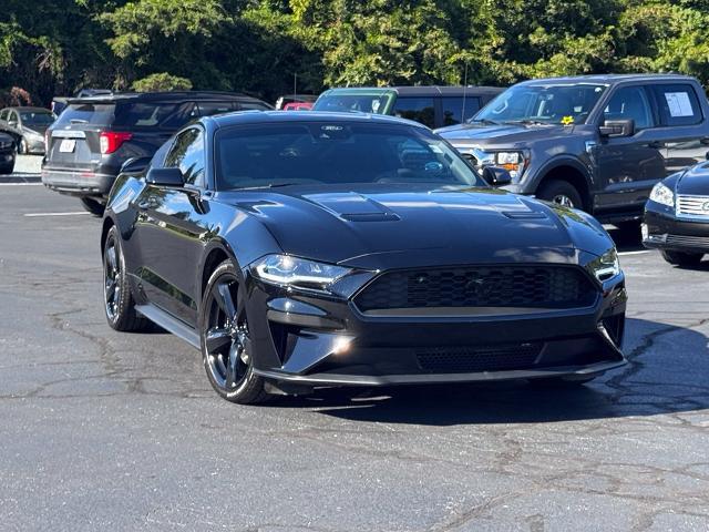 2022 Ford Mustang EcoBoost Fastback for sale in Burlington, NC