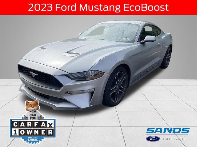 2023 Ford Mustang EcoBoost Fastback for sale in Pottsville, PA