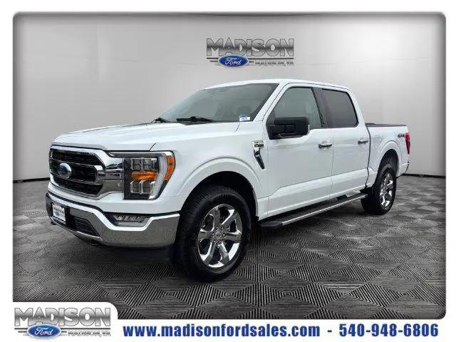 2023 Ford F-150 XLT for sale in Madison, VA