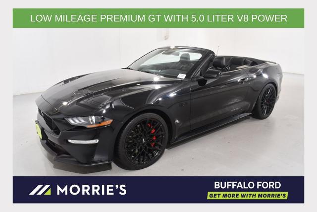 2018 Ford Mustang GT Premium for sale in Buffalo, MN