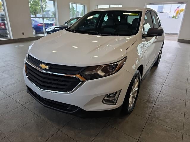 2019 Chevrolet Equinox LS for sale in Sterling Heights, MI