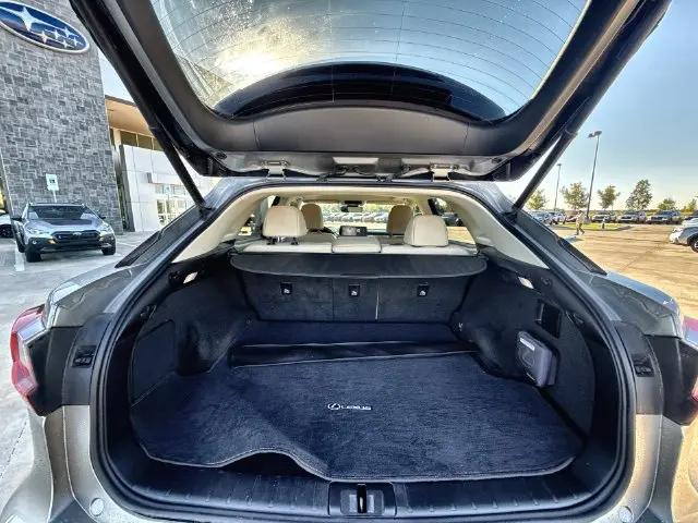 2022 Lexus RX 350 RX 350