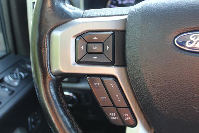 2021 Ford F-250 Platinum