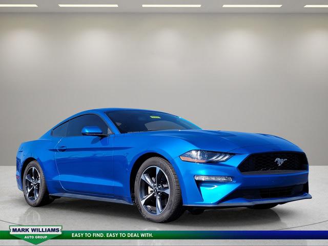 2019 Ford Mustang for sale near Cincinnati, OH