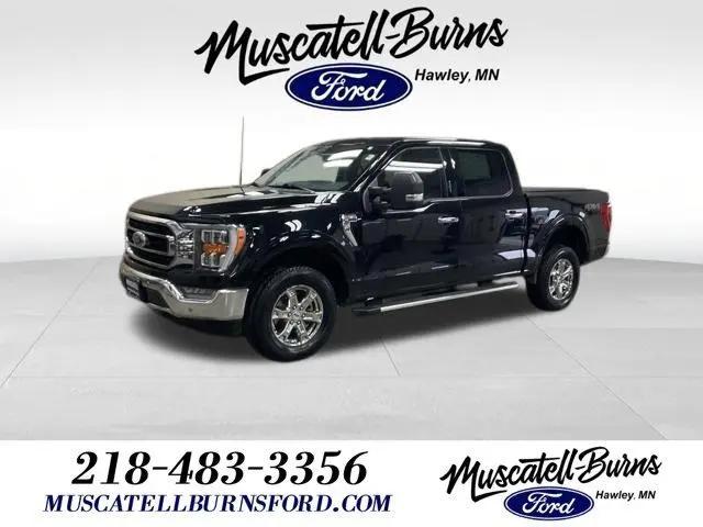 2023 Ford F-150 XLT for sale in Hawley, MN