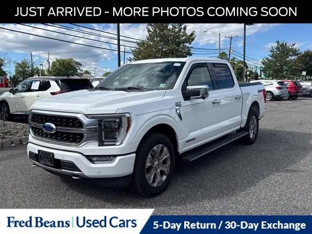 2021 Ford F-150 Platinum