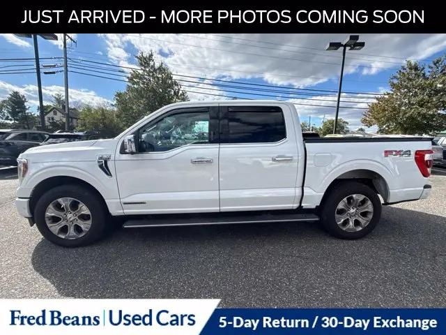 2021 Ford F-150 Platinum