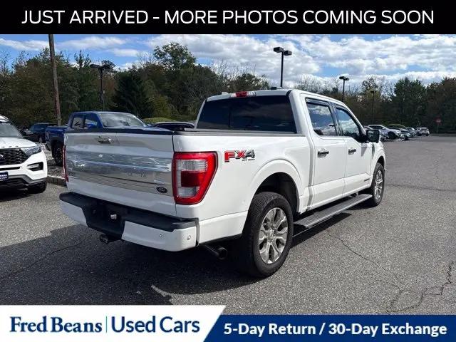 2021 Ford F-150 Platinum