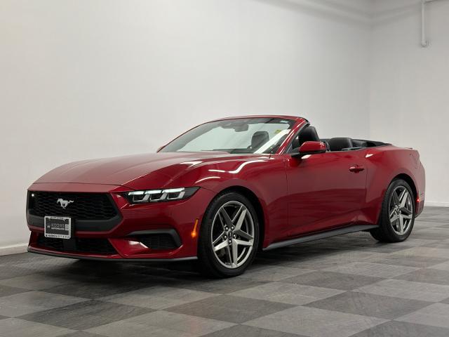 2024 Ford Mustang EcoBoost Premium Convertible for sale in Silver Spring, MD