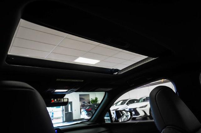 2025 Lexus 300 300h