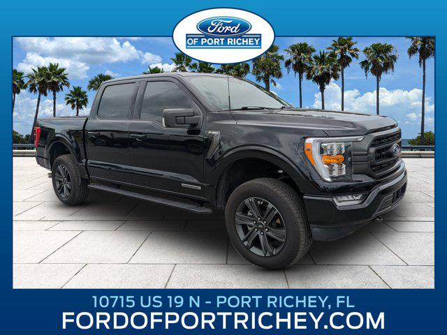 2023 Ford F-150 XLT for sale in Port Richey, FL