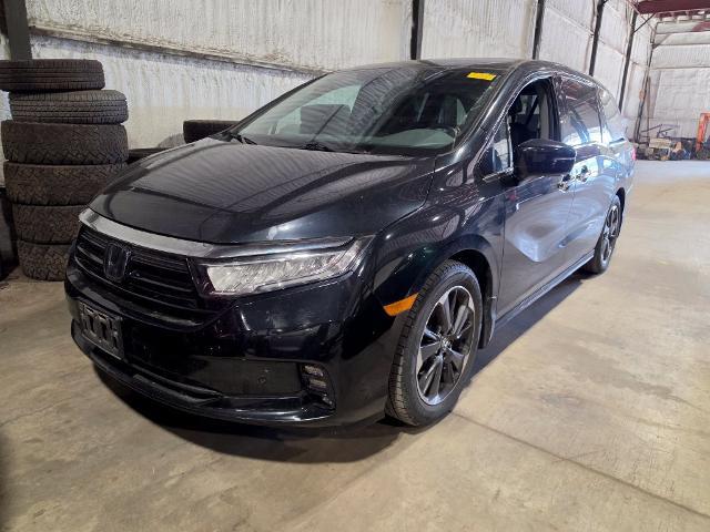 2022 Honda Odyssey Elite for sale in Chillicothe, OH
