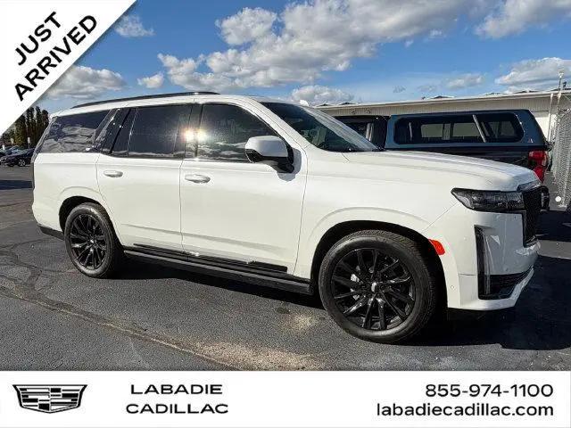2024 Cadillac Escalade 4WD Sport for sale in Bay City, MI