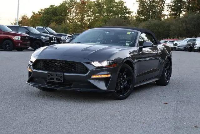2019 Ford Mustang EcoBoost for sale in Orchard Park, NY