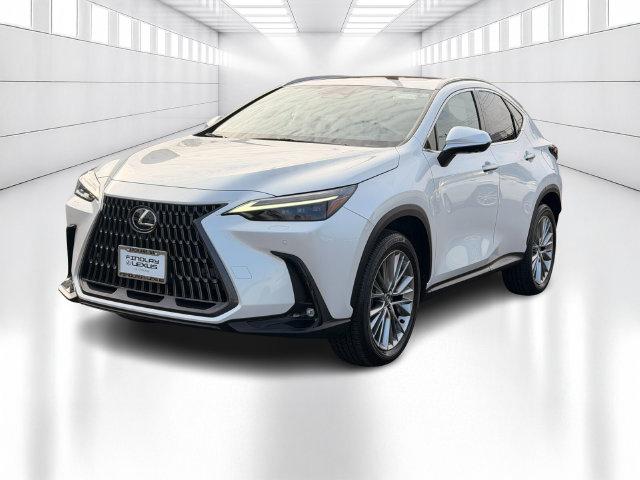 2024 Lexus NX Hybrid