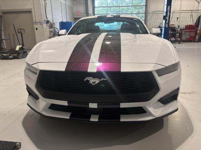 2025 Ford Mustang EcoBoost Fastback