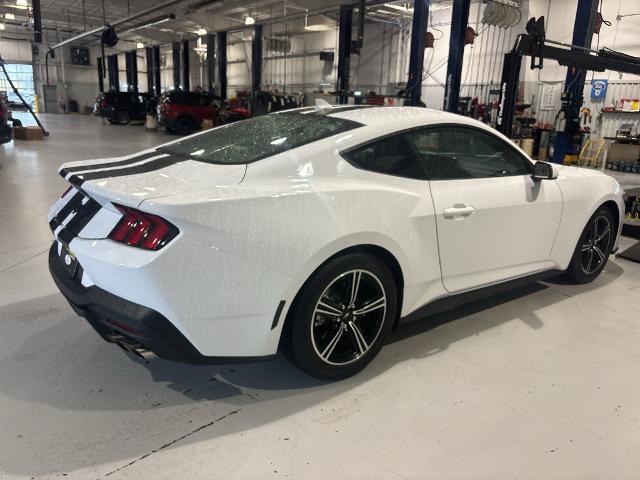 2025 Ford Mustang EcoBoost Fastback