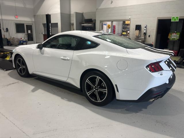 2025 Ford Mustang EcoBoost Fastback