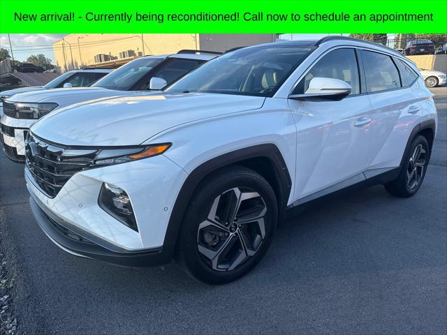 2023 Hyundai Tucson Limited for sale in HICKORY, NC