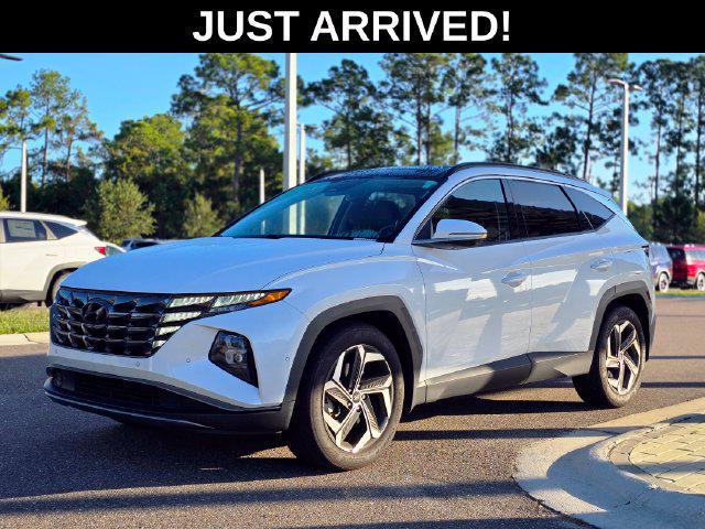 2022 Hyundai Tucson Limited for sale in SAINT AUGUSTINE, FL