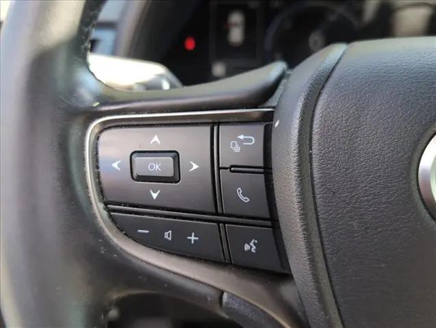 2025 Lexus 300 UX 300h