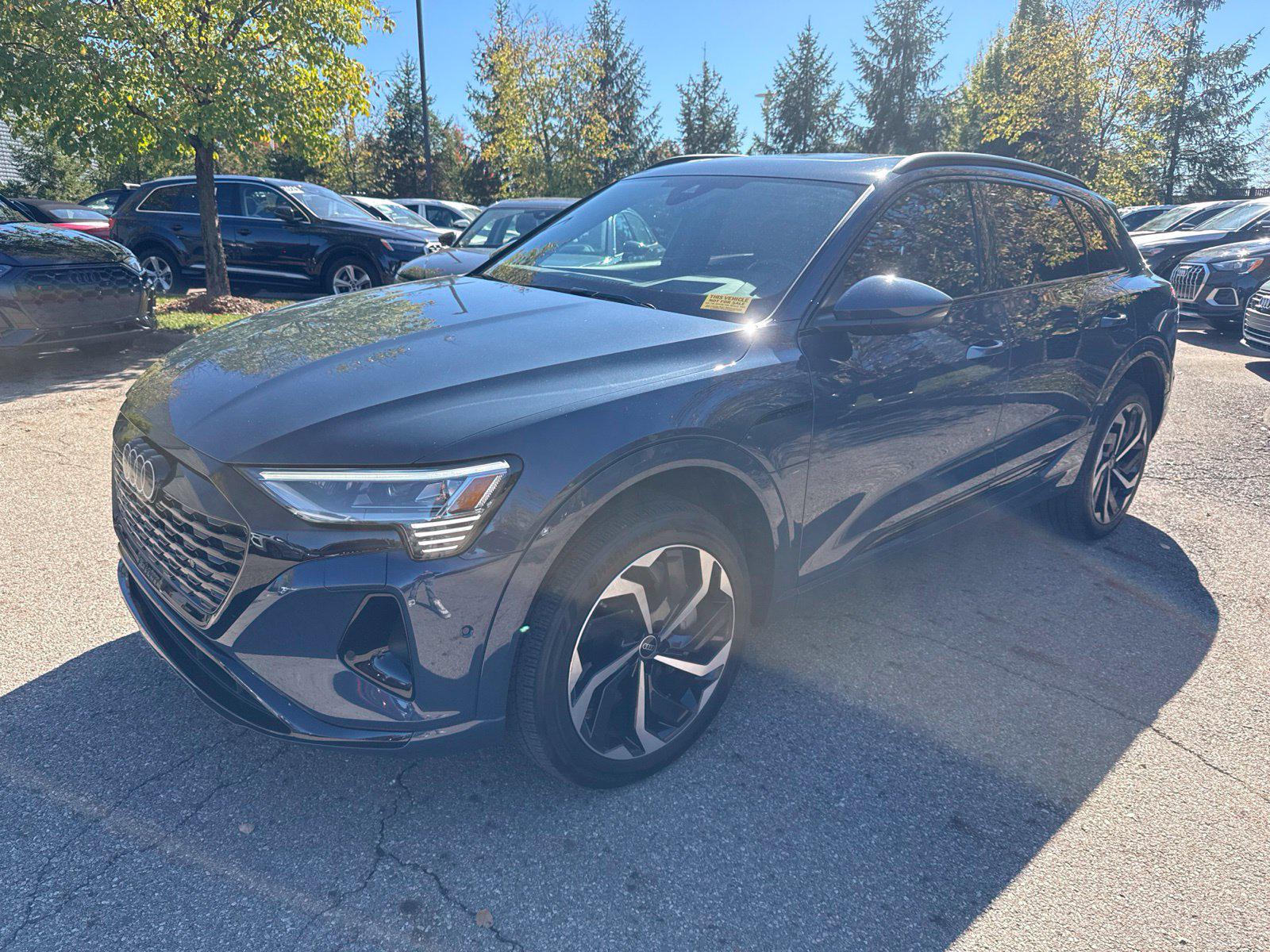 /2024 Audi Q8-E-TRON