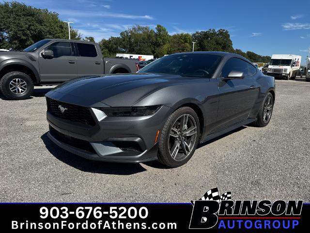 2025 Ford Mustang EcoBoost Fastback for sale in Athens, TX