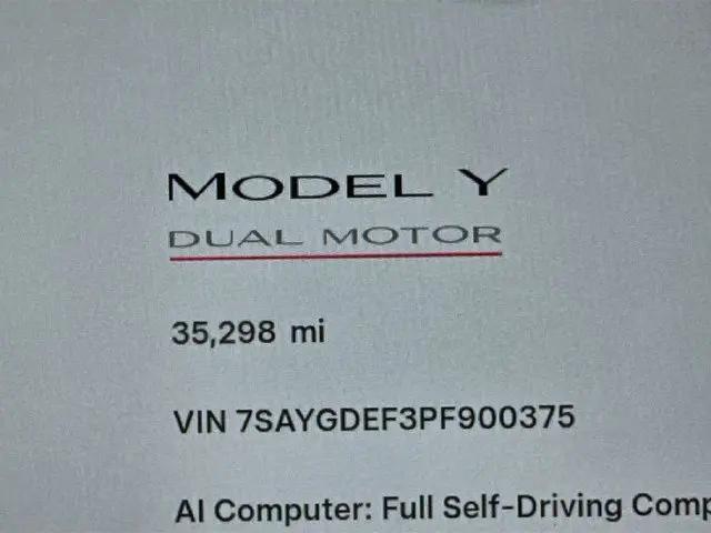 2023 Tesla Model Y Performance Dual Motor All-Wheel Drive