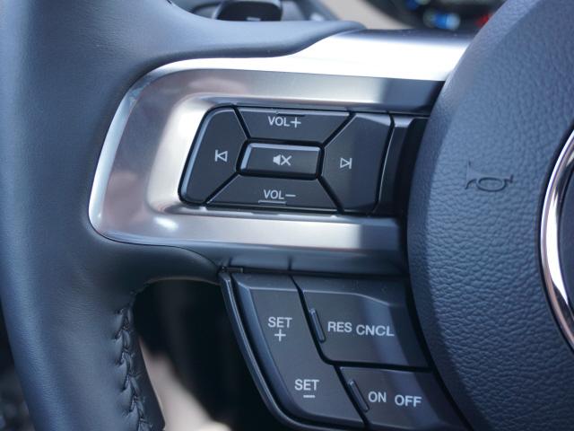 2019 Ford Mustang GT PREMIUM CONVERTIBLE