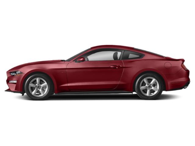 2019 Ford Mustang EcoBoost 2019 Ford Mustang EcoBoost