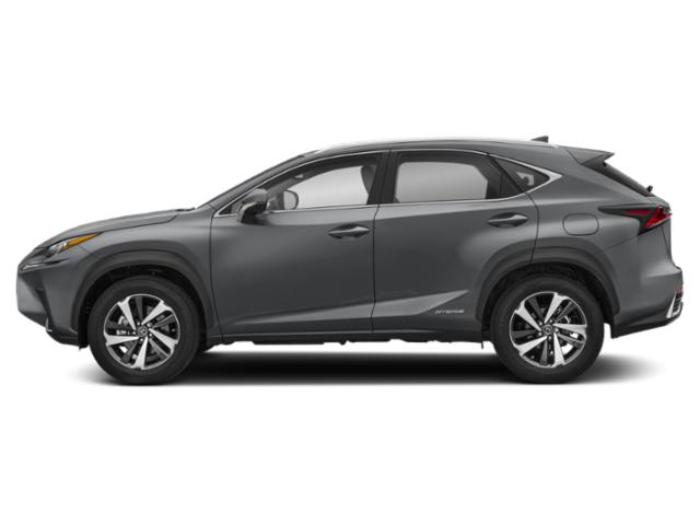 2019 Lexus NX 300h 2019 Lexus NX 300h