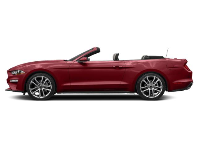 2023 Ford Mustang EcoBoost Premium Convertible 2023 Ford Mustang EcoBoost Premium Convertible