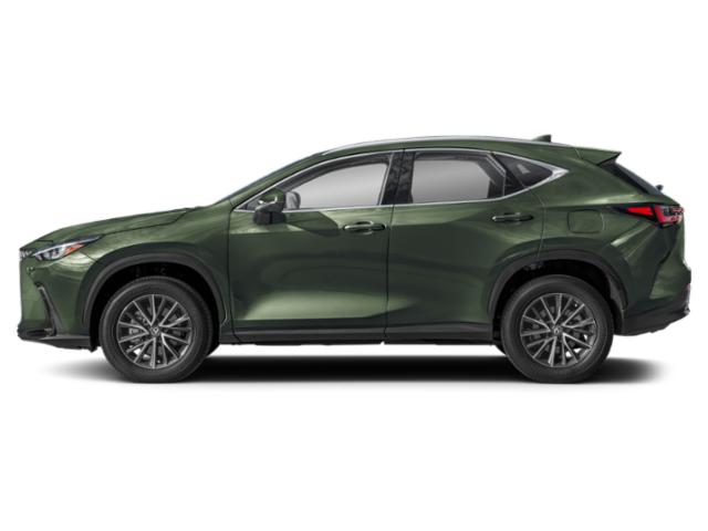 2025 Lexus NX Unknown