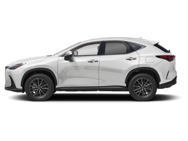 2025 Lexus NX Premium