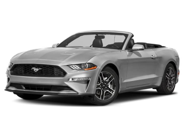 2019 Ford Mustang EcoBoost Premium 2019 Ford Mustang EcoBoost Premium