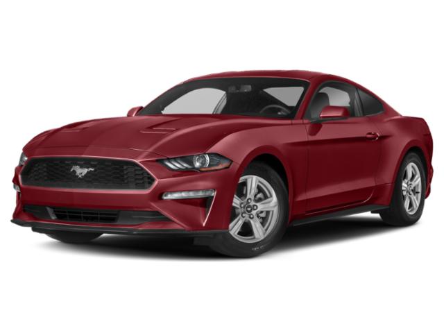 2019 Ford Mustang EcoBoost 2019 Ford Mustang EcoBoost