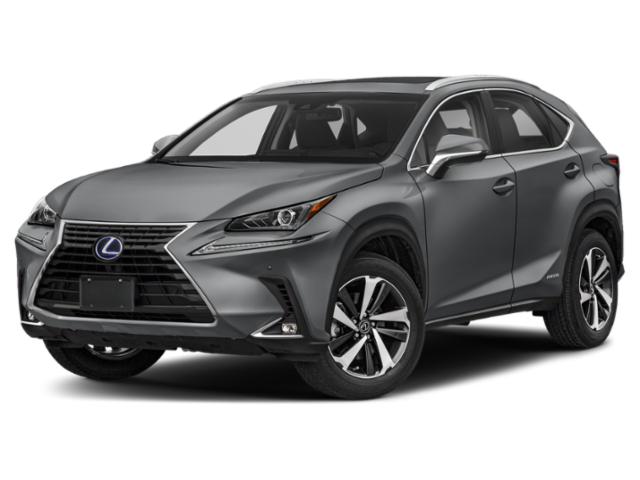2019 Lexus NX 300h 2019 Lexus NX 300h