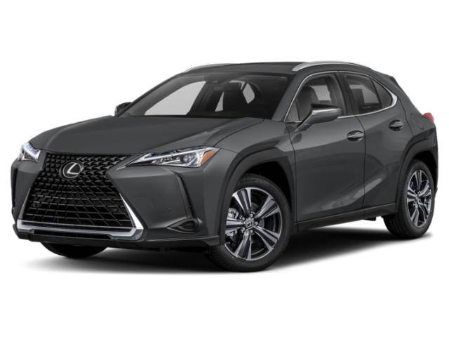 2019 Lexus UX 200 UX 200 for sale in Wilmington, NC