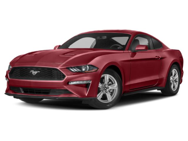 2020 Ford Mustang EcoBoost Fastback 2020 Ford Mustang EcoBoost Fastback